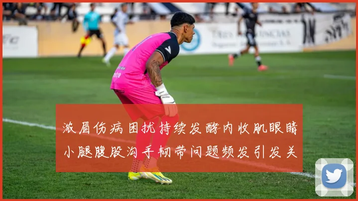 浓眉伤病困扰持续发酵内收肌眼睛小腿腹股沟手韧带问题频发引发关注