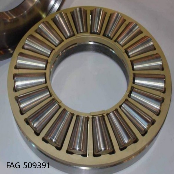 FAG 509391 DOUBLE ROW TAPERED THRUST ROLLER BEARINGS
