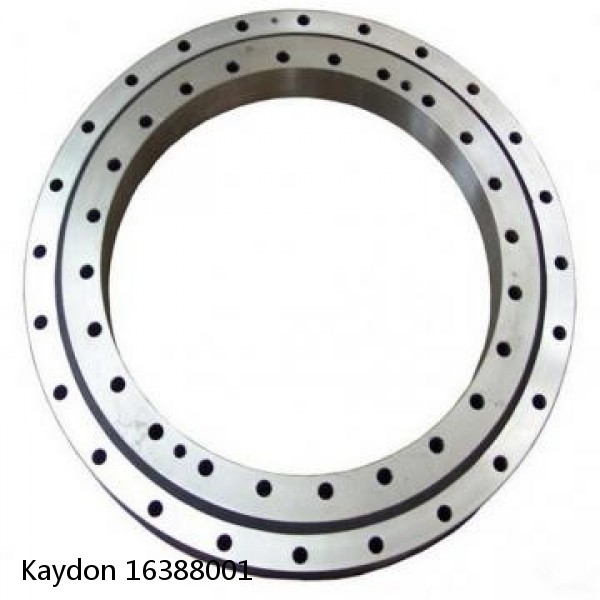 16388001 Kaydon Slewing Ring Bearings