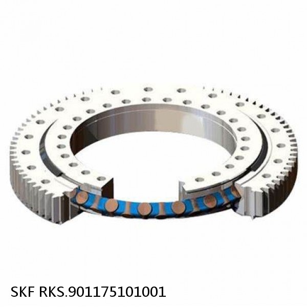 RKS.901175101001 SKF Slewing Ring Bearings