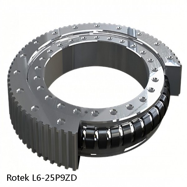 L6-25P9ZD Rotek Slewing Ring Bearings