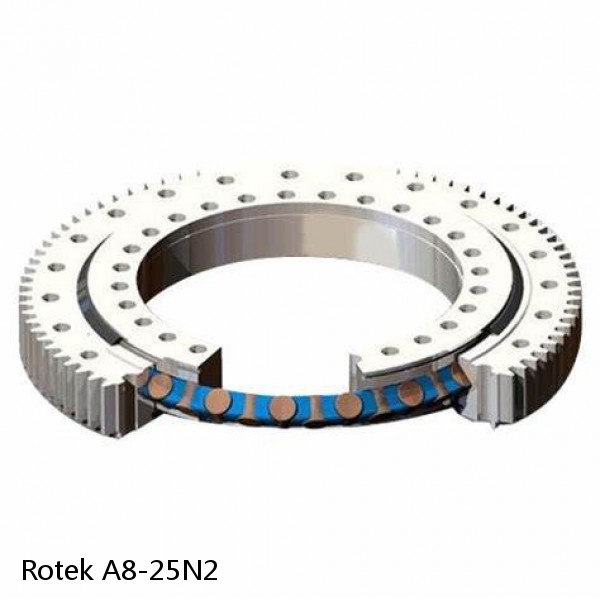 A8-25N2 Rotek Slewing Ring Bearings