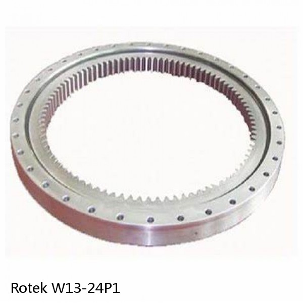 W13-24P1 Rotek Slewing Ring Bearings