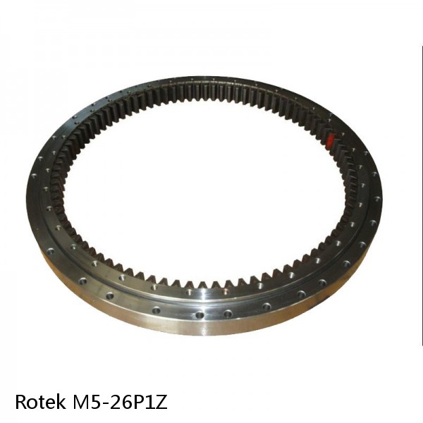 M5-26P1Z Rotek Slewing Ring Bearings